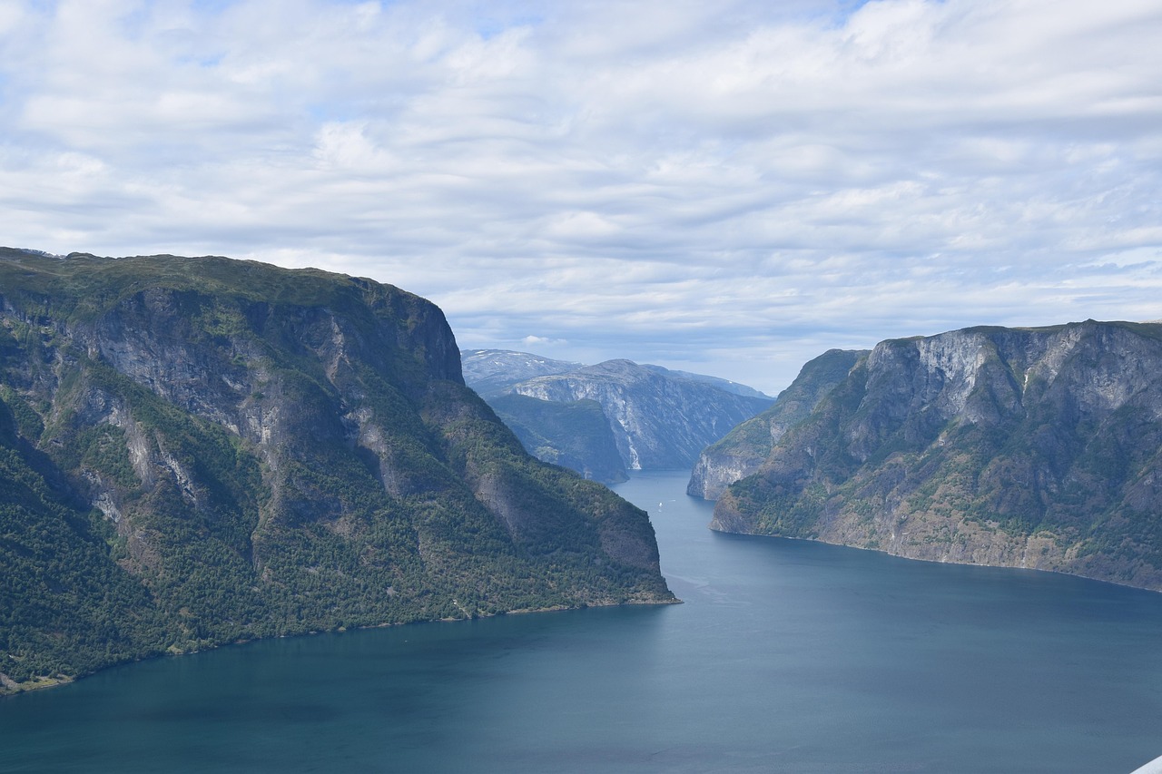 Den norske fjorden